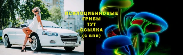 круглые Новодвинск