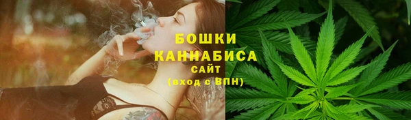дмт Няндома