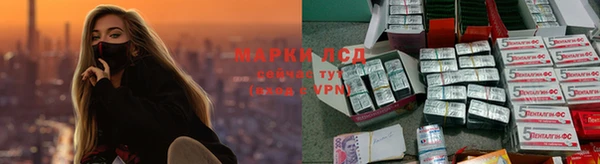 PSILOCYBIN Нязепетровск