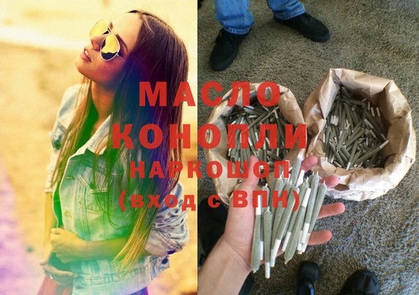 дмт Няндома