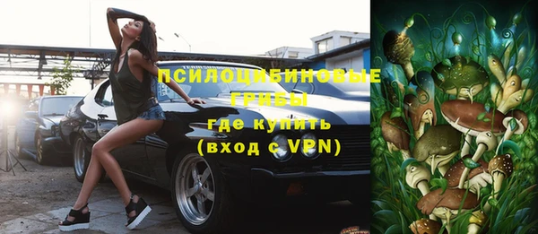 дмт Няндома