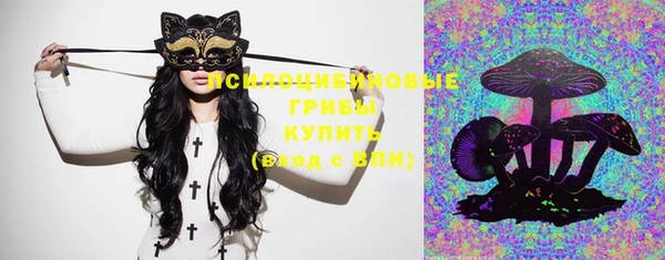 PSILOCYBIN Нязепетровск