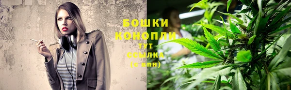 PSILOCYBIN Нязепетровск