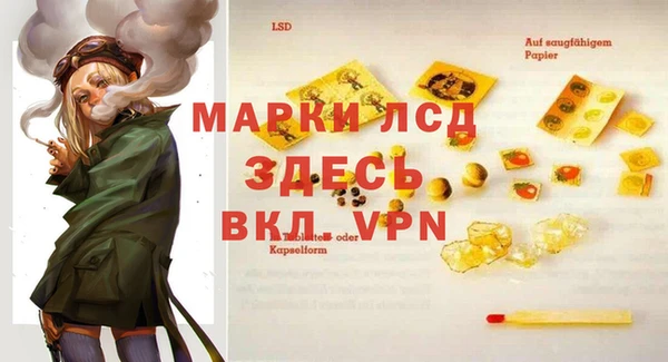 PSILOCYBIN Нязепетровск