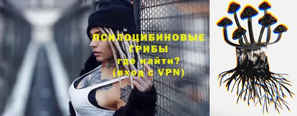 гидра Нягань