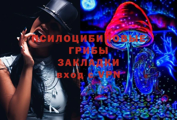 дмт Няндома