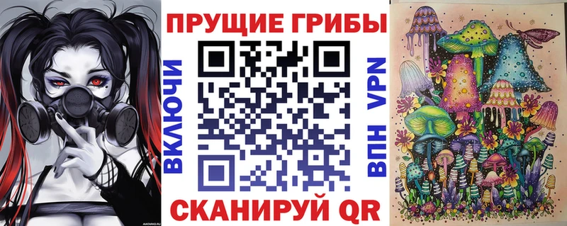 Псилоцибиновые грибы Psilocybine cubensis Остров